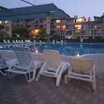 Nestinarka